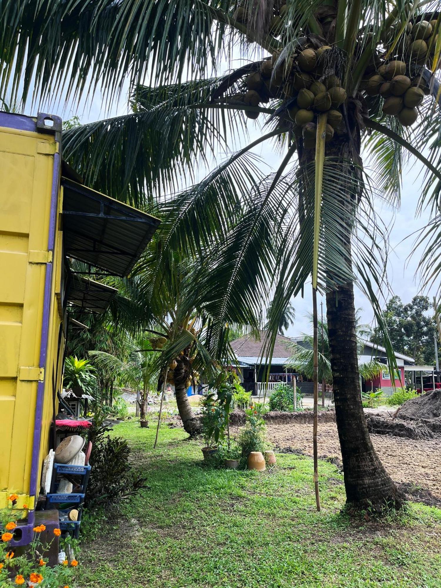 Purple Cube At Lumut Cube Homestay Kontena Εξωτερικό φωτογραφία
